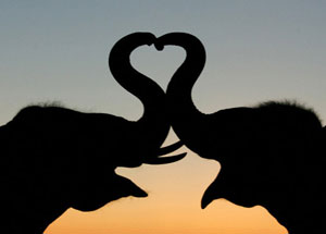 Research Discovers Love Can Last Forever love Research Discovers Love Can Last Forever