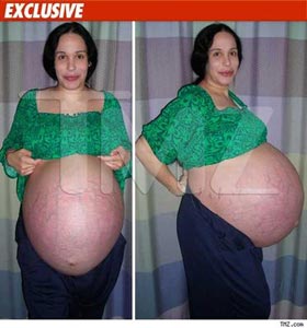 octomom 300 OctoMom the Next Vivid Girl? 