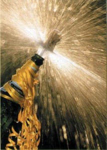 champagne2 1 214x300 Seven Sexy New Year’s Resolutions